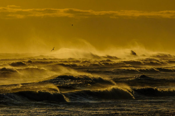 Angry Golden Waves