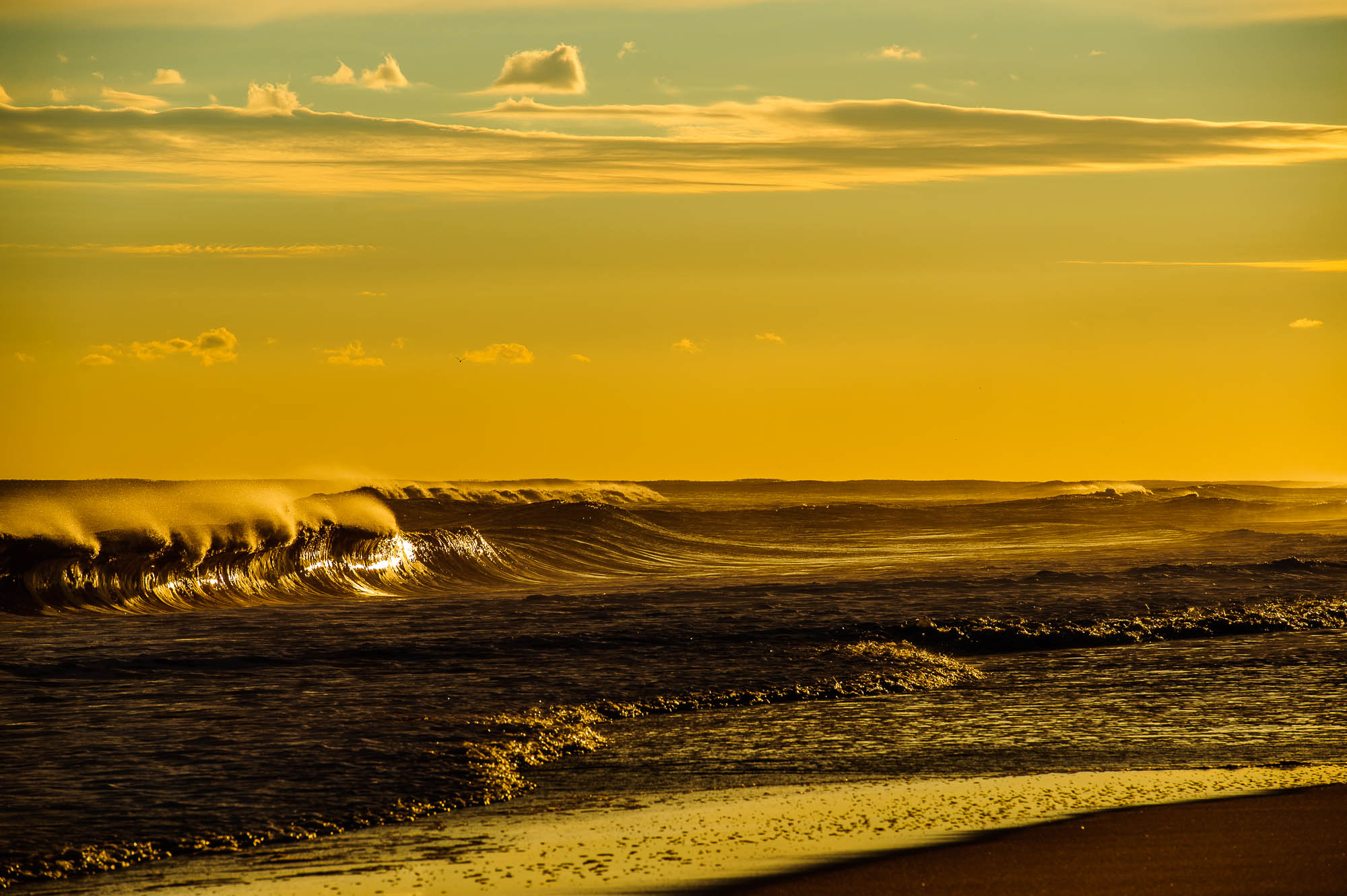 Montauk golden surf